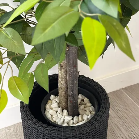 Hébergement de vacances El Balcon De *