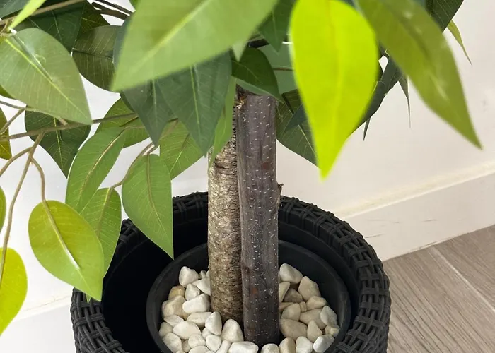 Tatil Evi El Balcon De *